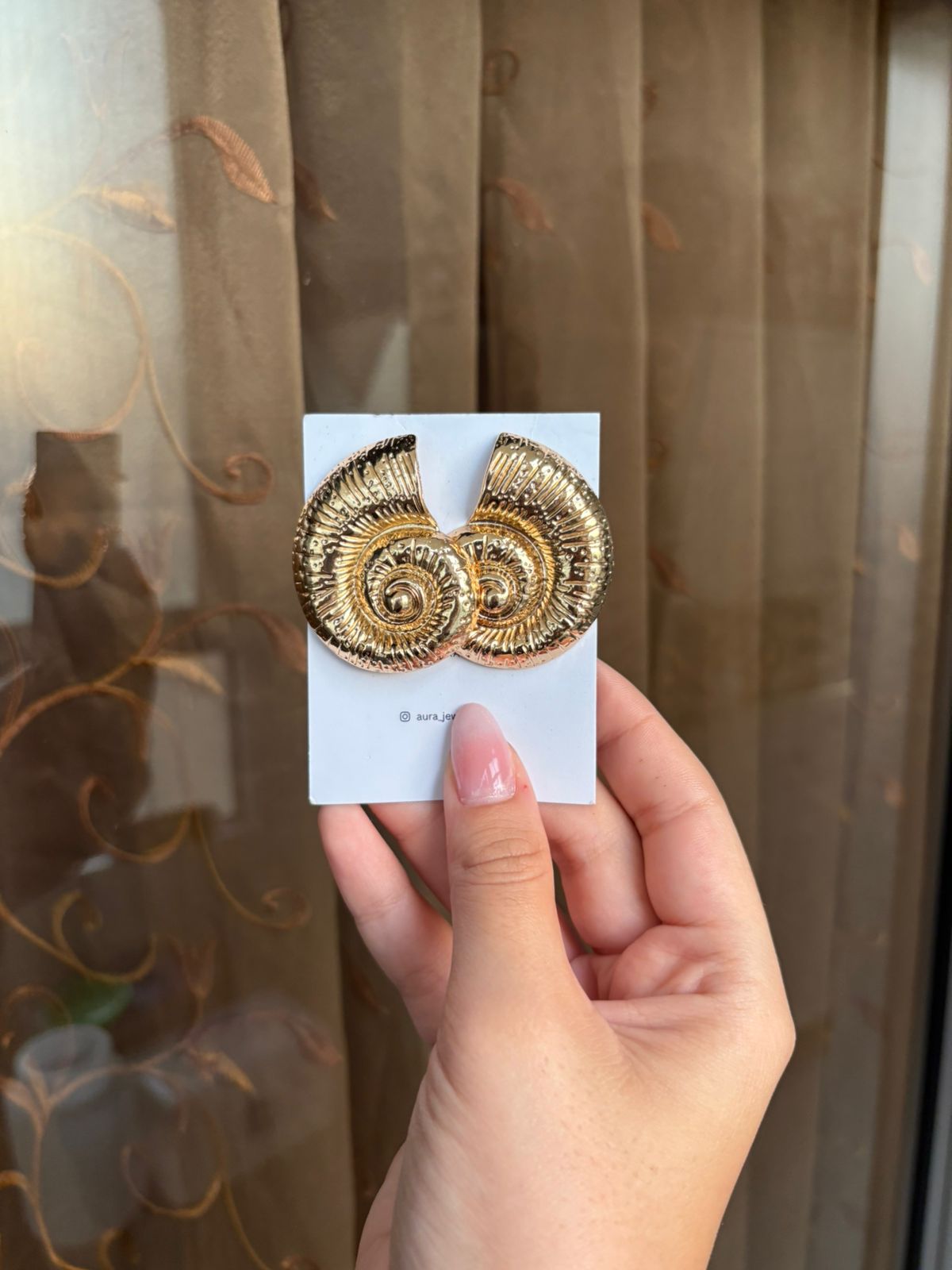 Spiral Case earrings